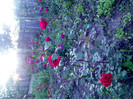 IMG00333