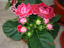DSC03927