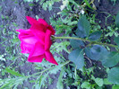 IMG00346