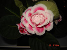 DSC03932