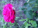 IMG00348