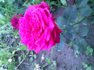IMG00349