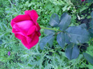 IMG00351