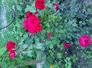 IMG00364