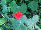 IMG00367