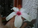 P26-08-12_12.34