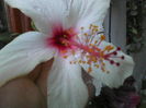 P26-08-12_12.34[1]