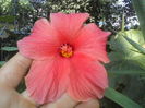 P26-08-12_12.35[1]