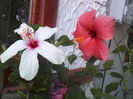 P26-08-12_12.35[2]