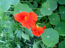IMG00368