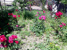 IMG00410