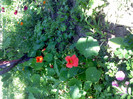 IMG00412