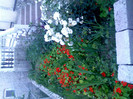 IMG00415