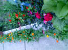 IMG00419