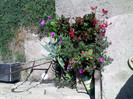 IMG00676