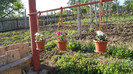 SAM_0972