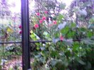 Imag029