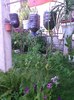 Imag052
