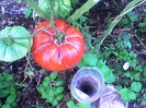 Imag059