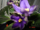DSC03980