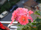 DSC03991