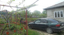 SAM_1287