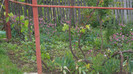 SAM_1485