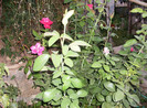 august 2012 163