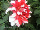 august 2012 105