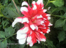 august 2012 106