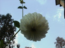 august 2012 193