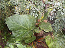 august 2012 206