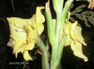 august 2012 207