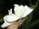 august 2012 208