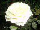 august 2012 214