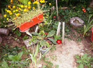 august 2012 059