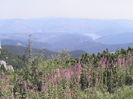 PIC_0274