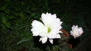 DSC09155