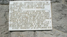 DSC09201