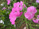 P1010169