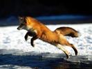 images (28)