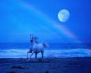 images (5)