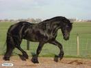 images (6)