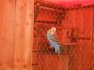 Picture 1294