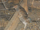 Picture 1324