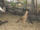 Picture 1345