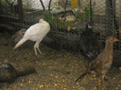 Picture 1346