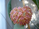 P1170872