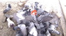30816161_NZEXRBOWK