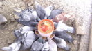 30816253_AQYKEPIXK